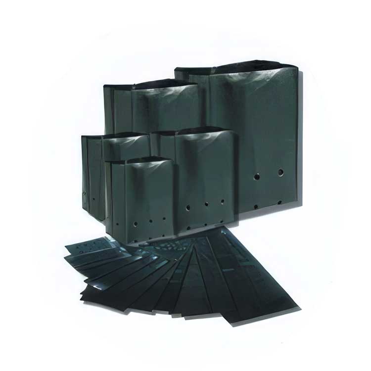 polybag21