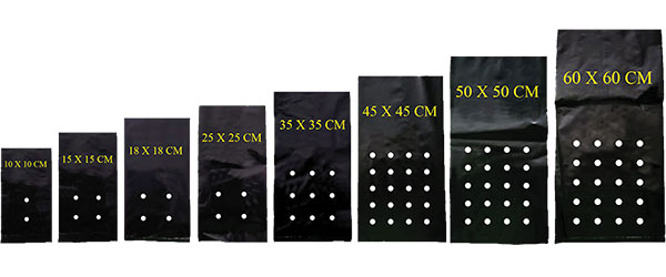 polybag3
